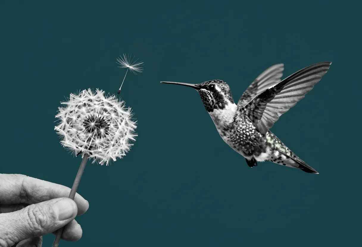 A hummingbird captured in sharp motion next to a slowly floating dandelion seed against a dark background.